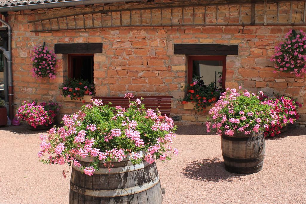Hotel Restaurant Le Moulin De Saint Verand Екстер'єр фото